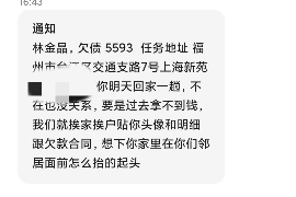 榆林为什么选择专业追讨公司来处理您的债务纠纷？